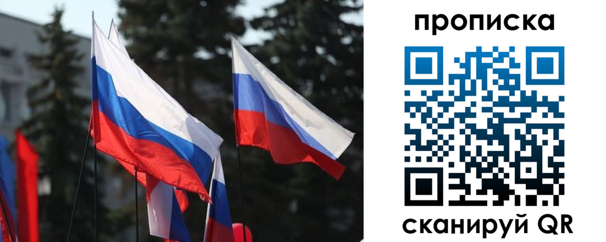 прописка законно в Борзе